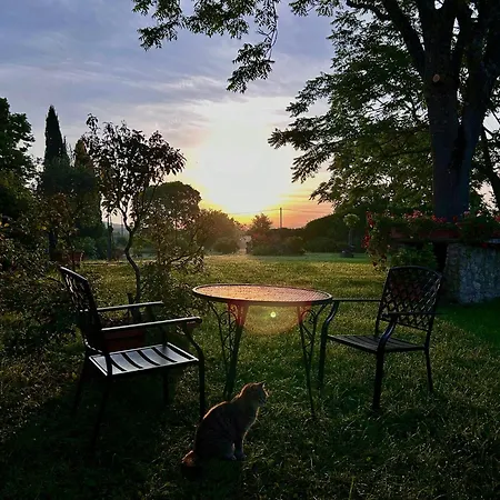 Agriturismo Podere Luchiano Amelia Buitenkant foto