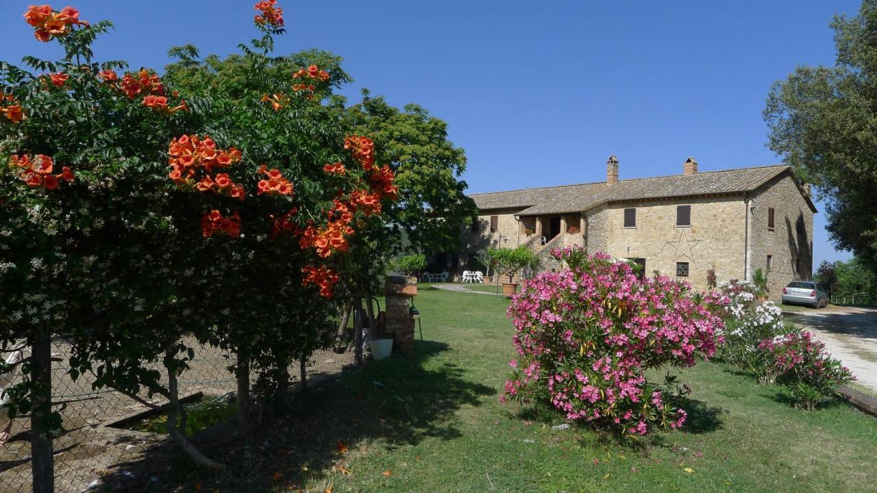 Podere Luchiano * Amelia