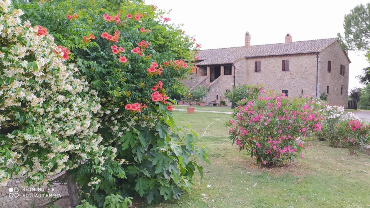 Podere Luchiano Amelia