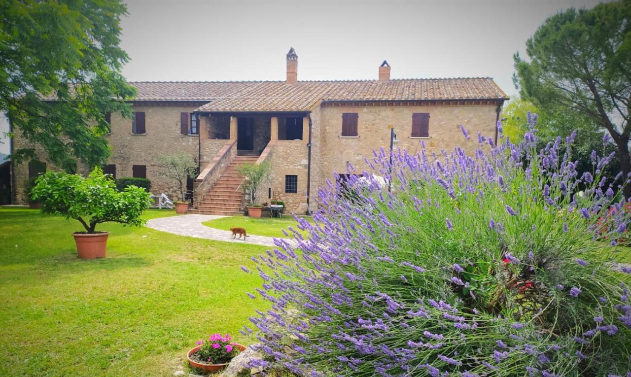 Podere Luchiano Farm stay Amelia