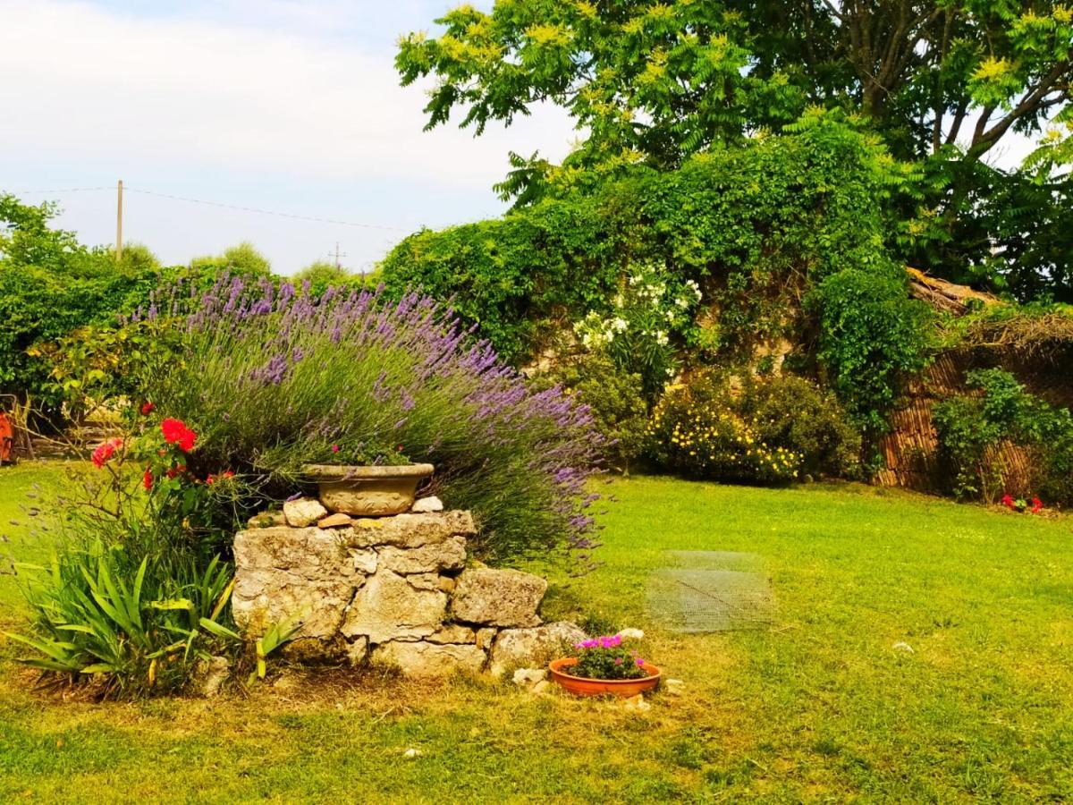 Farm stay Podere Luchiano