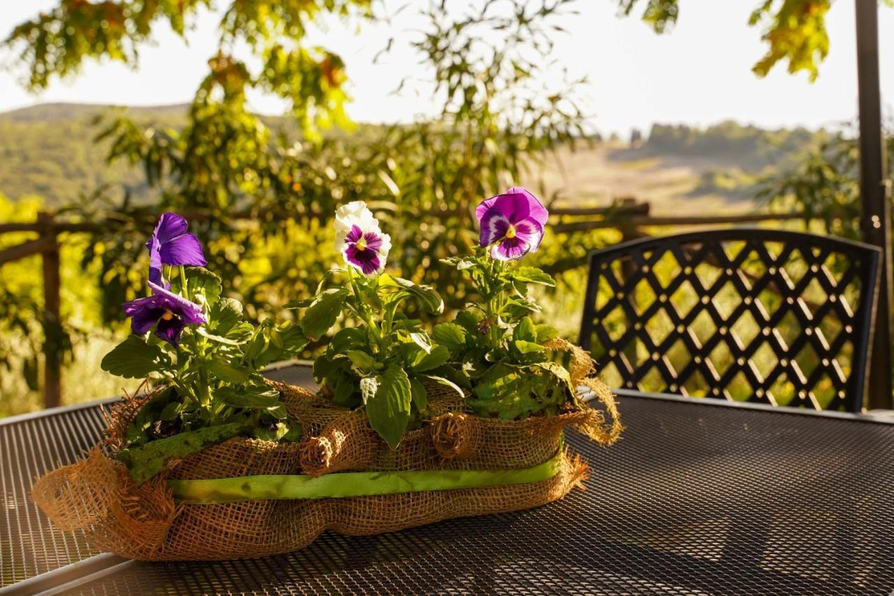 Podere Luchiano Farm stay Amelia