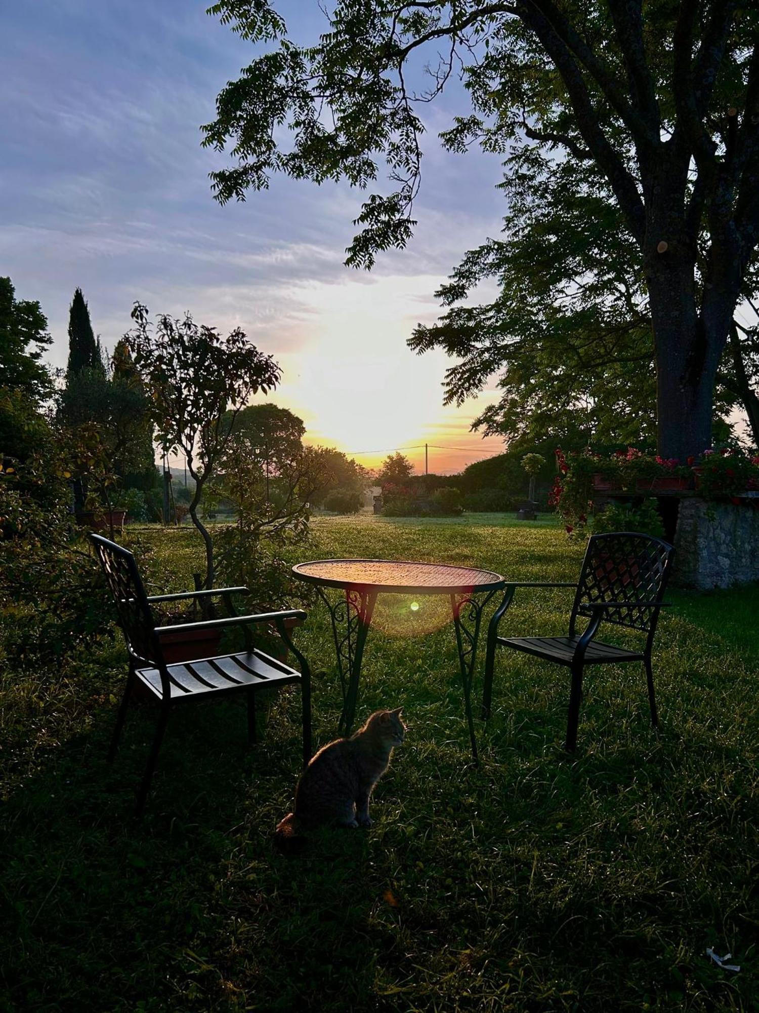 Podere Luchiano *