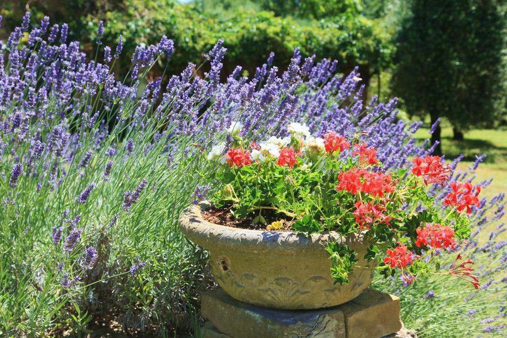 Podere Luchiano Farm stay
