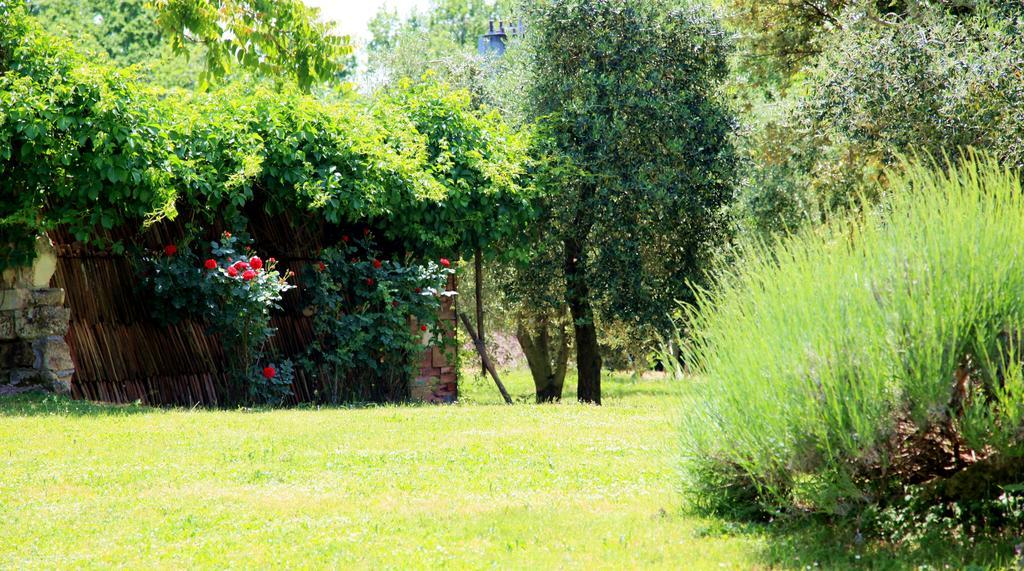 Farm stay Podere Luchiano *