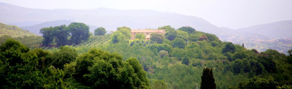 Farm stay Podere Luchiano *