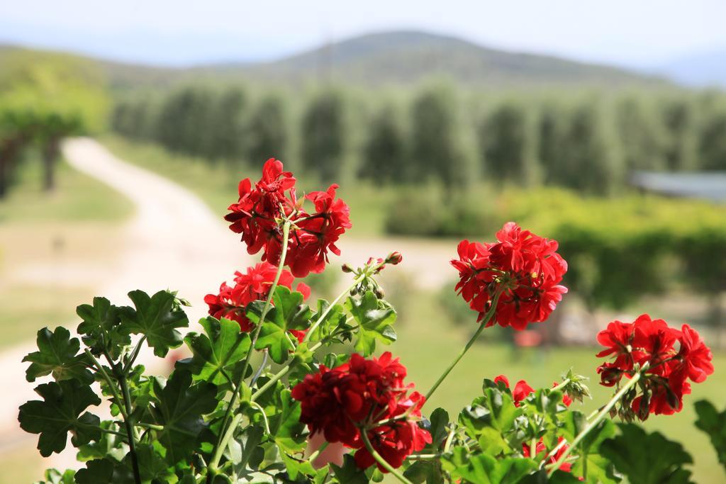 Podere Luchiano Farm stay *