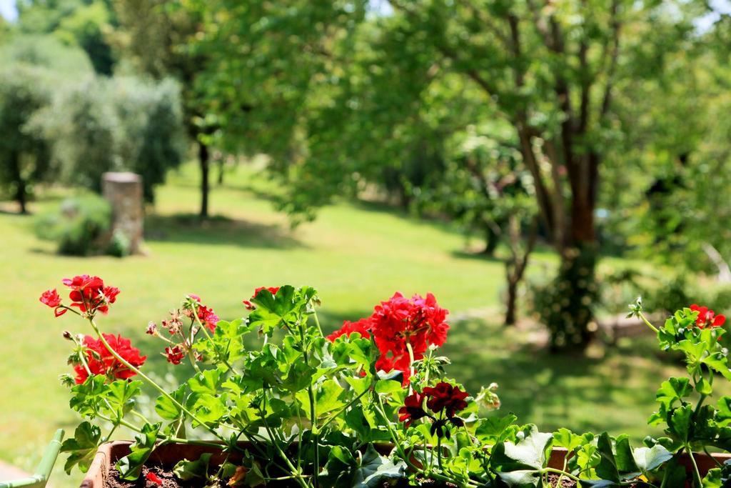 Podere Luchiano *
