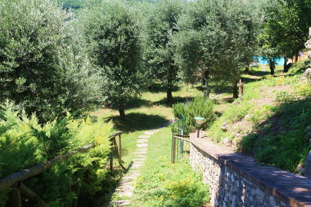 Podere Luchiano Farm stay *