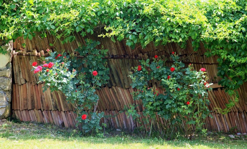 Farm stay Podere Luchiano *