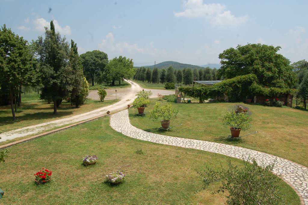 Podere Luchiano Amelia