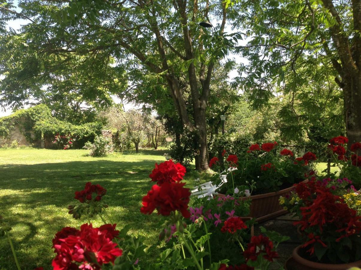 Alloggio per agriturismo Podere Luchiano Amelia