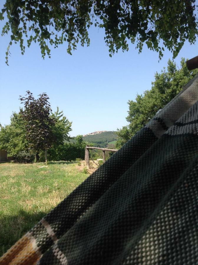 Podere Luchiano *